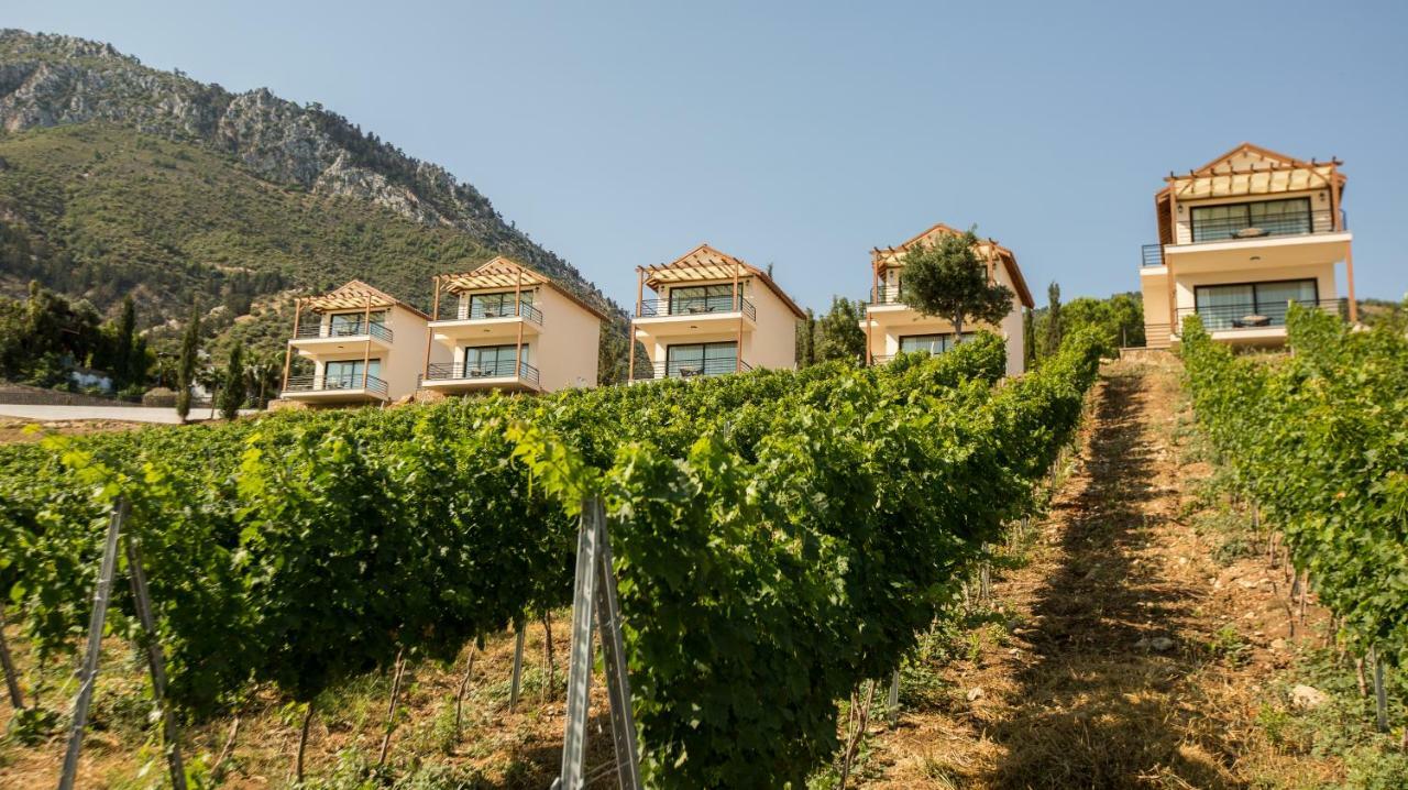 Gillham Vineyard Hotel Templos Ngoại thất bức ảnh